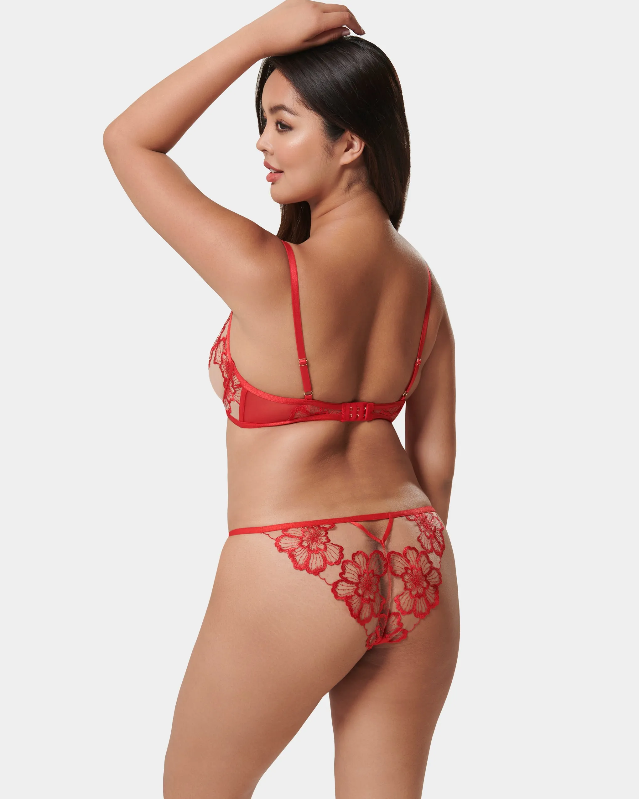 Catalina Brief Red/Sheer
