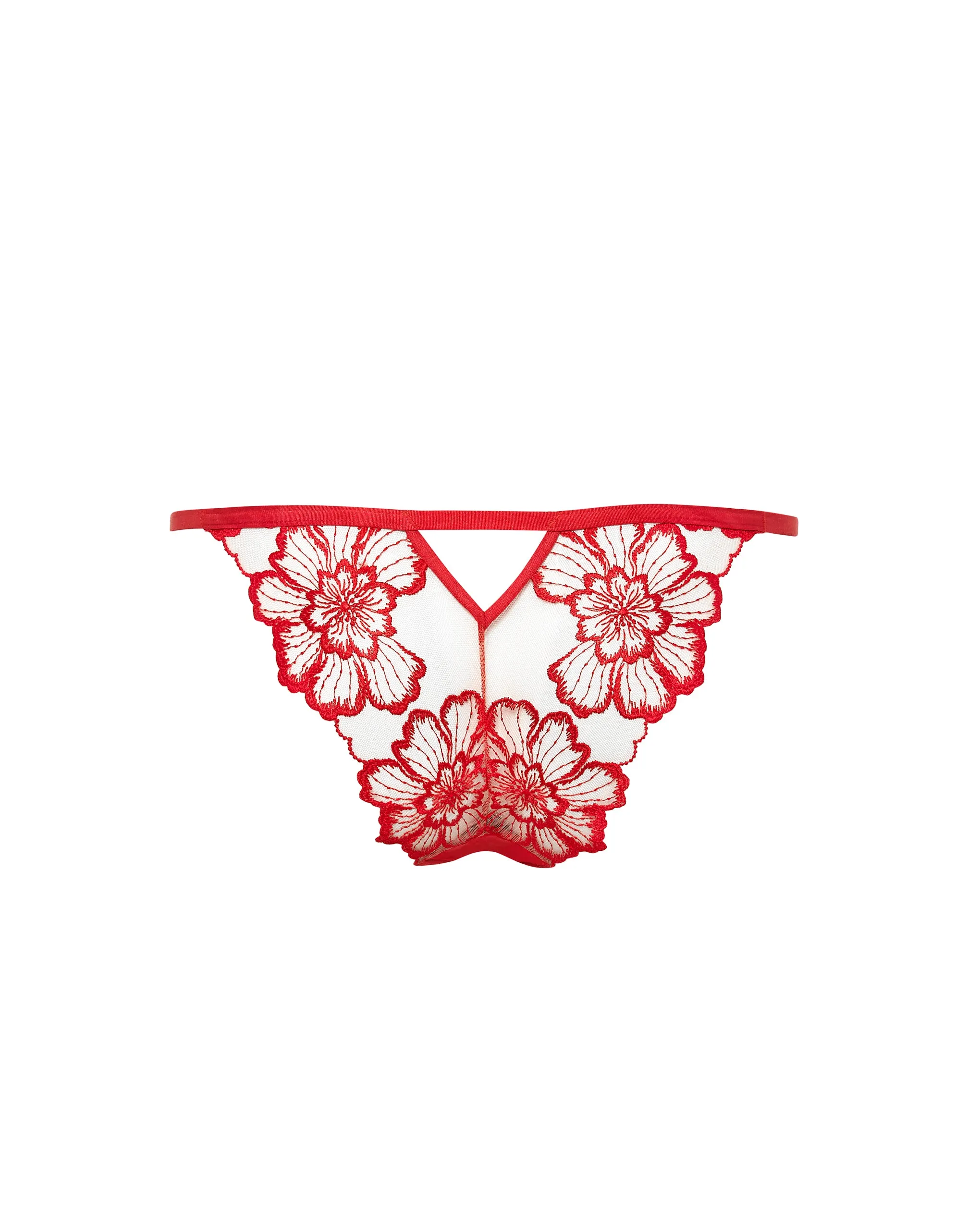 Catalina Brief Red/Sheer