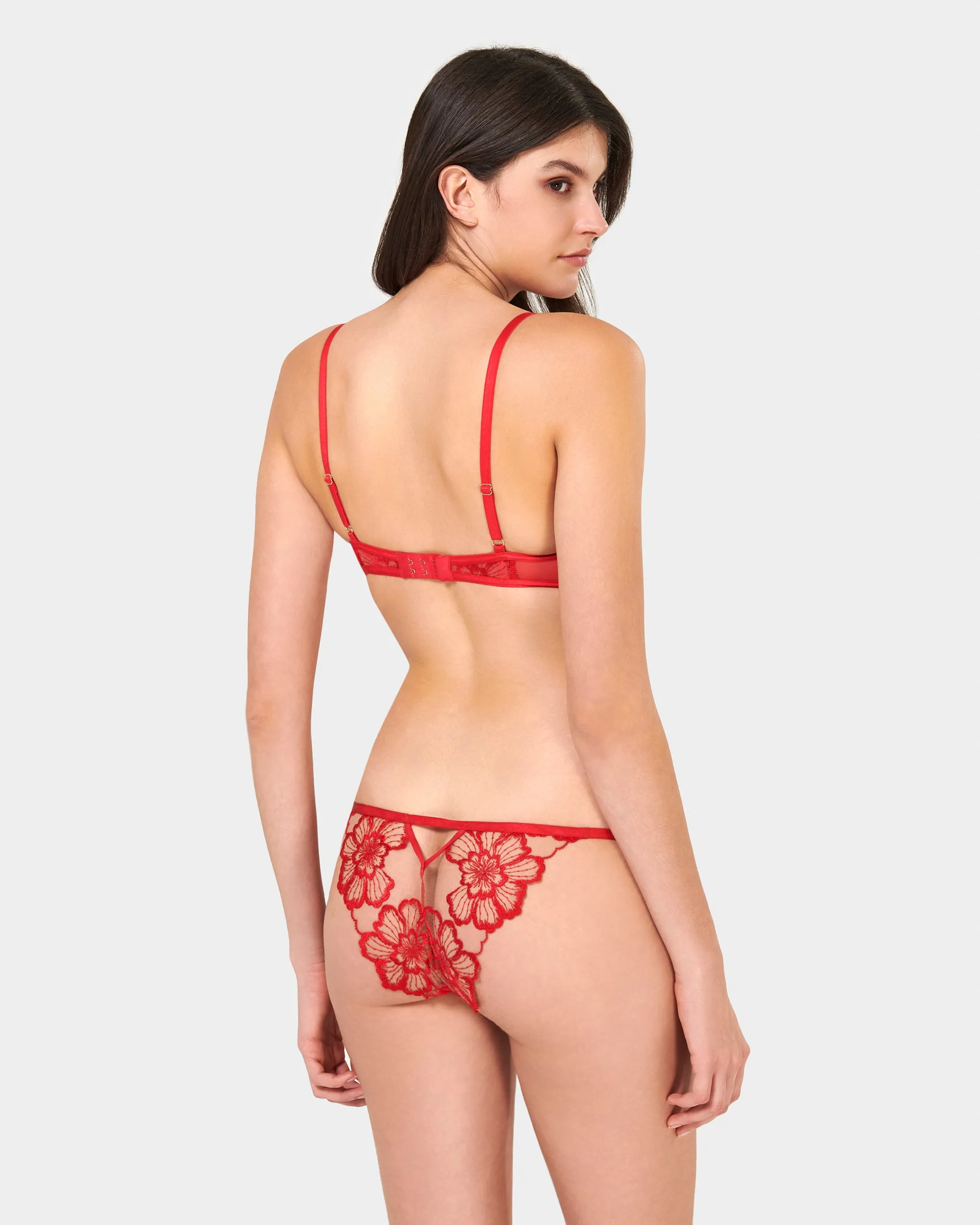 Catalina Brief Red/Sheer