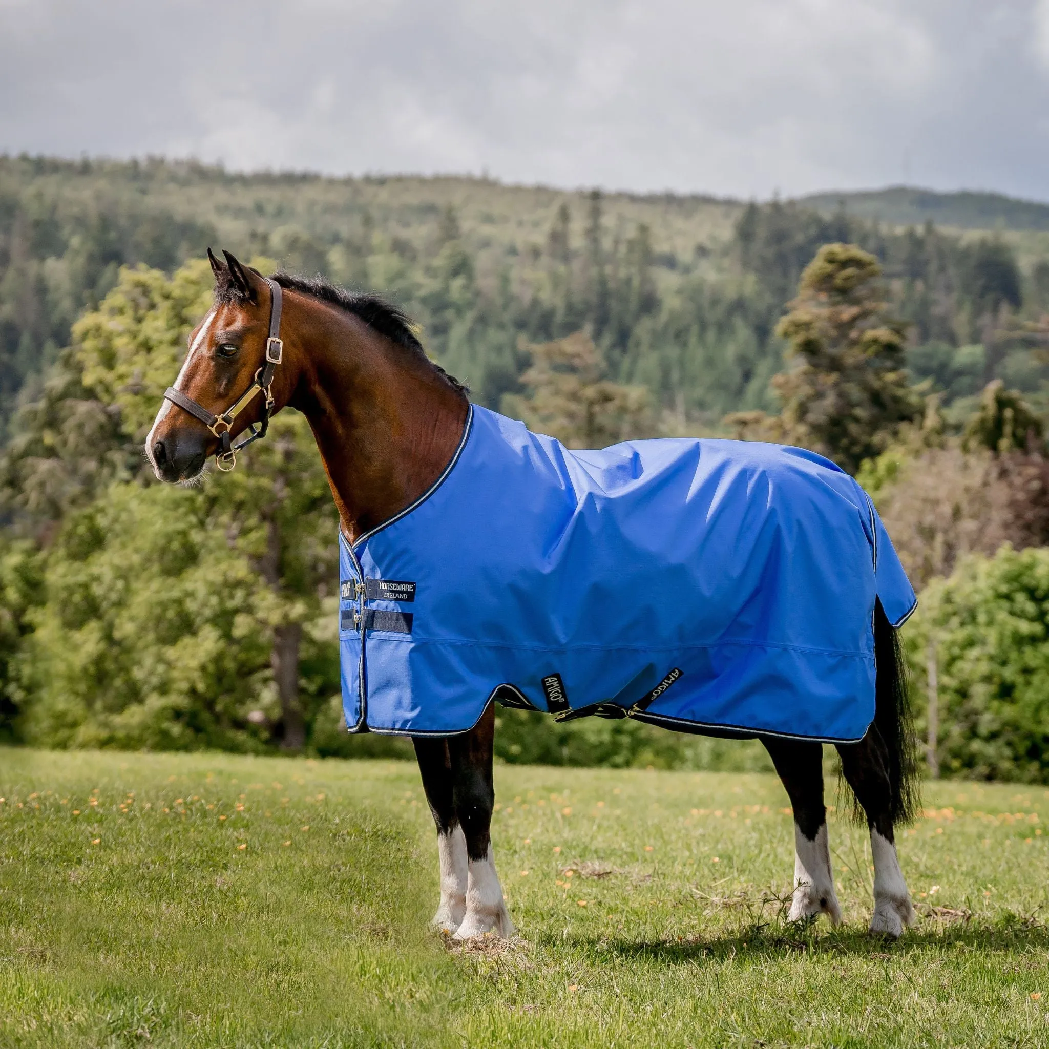 Horseware Amigo Hero Ripstop Lite 0g Rug