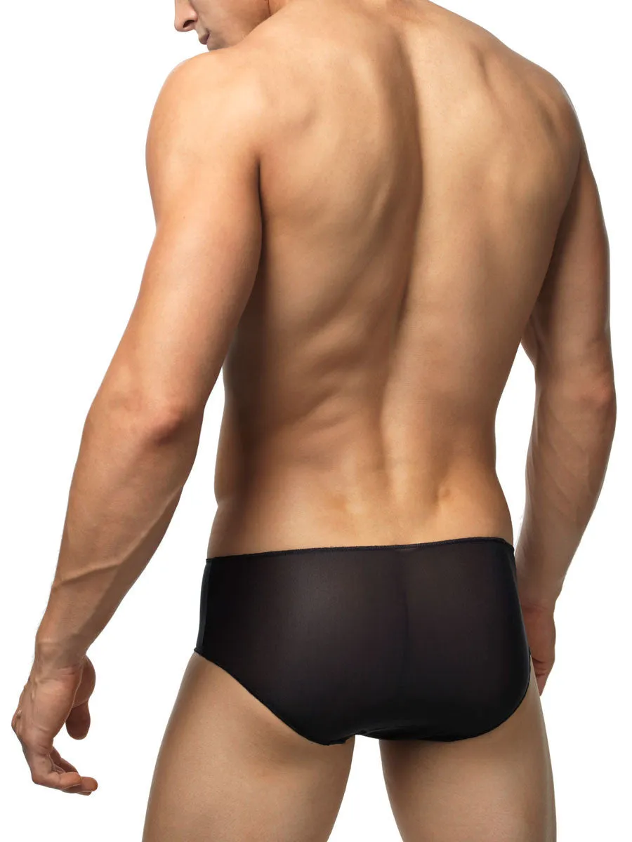 Invisible Pleasure Brief