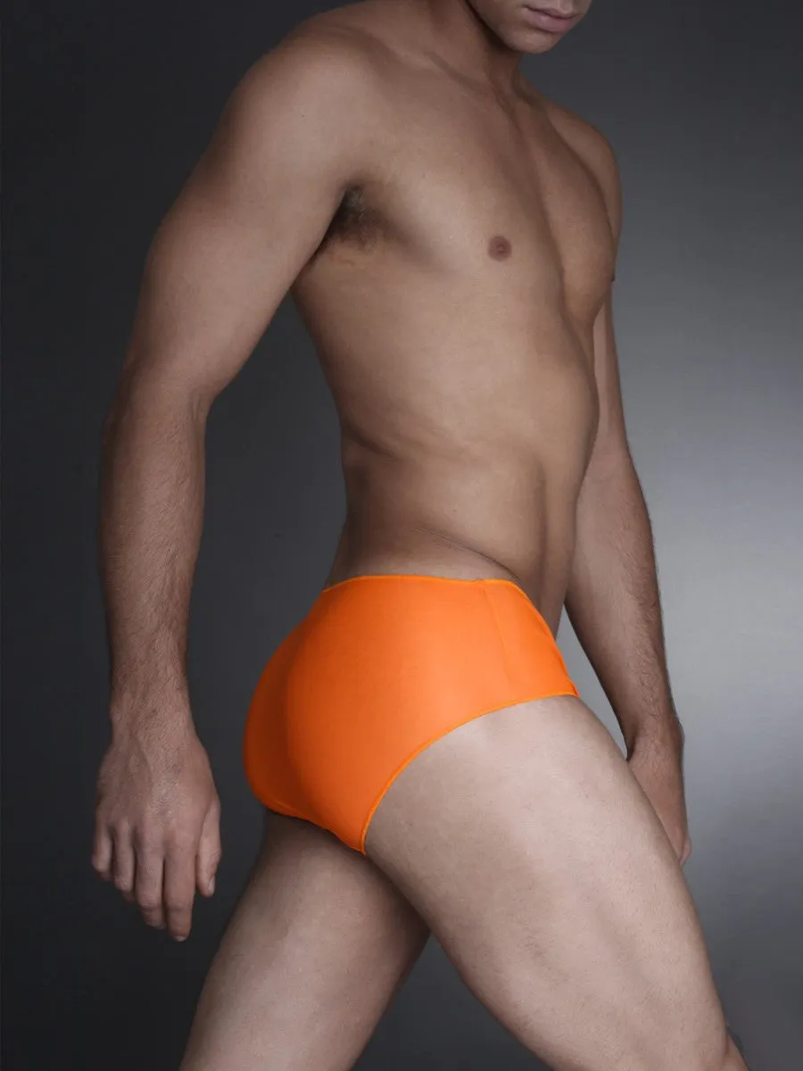 Invisible Pleasure Brief