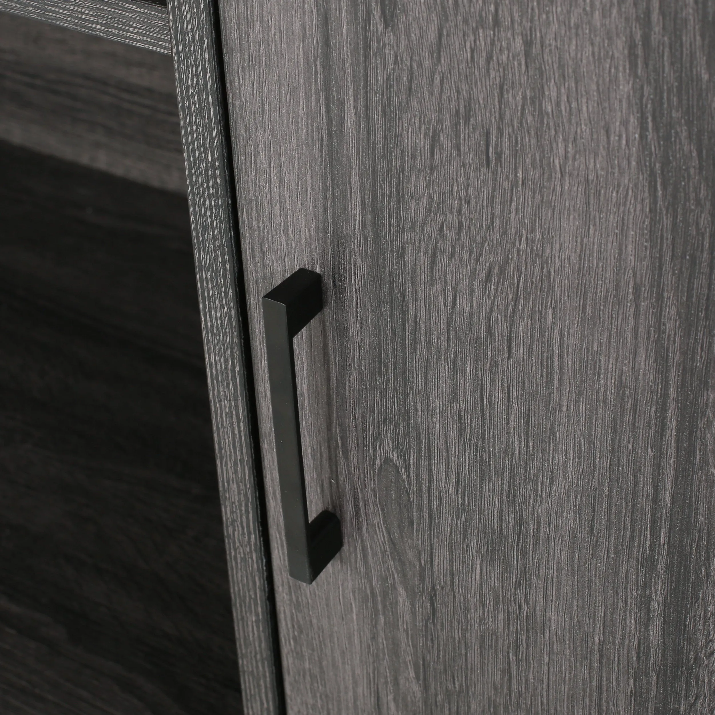 Joaquin Bookcase With Storage Cabinet