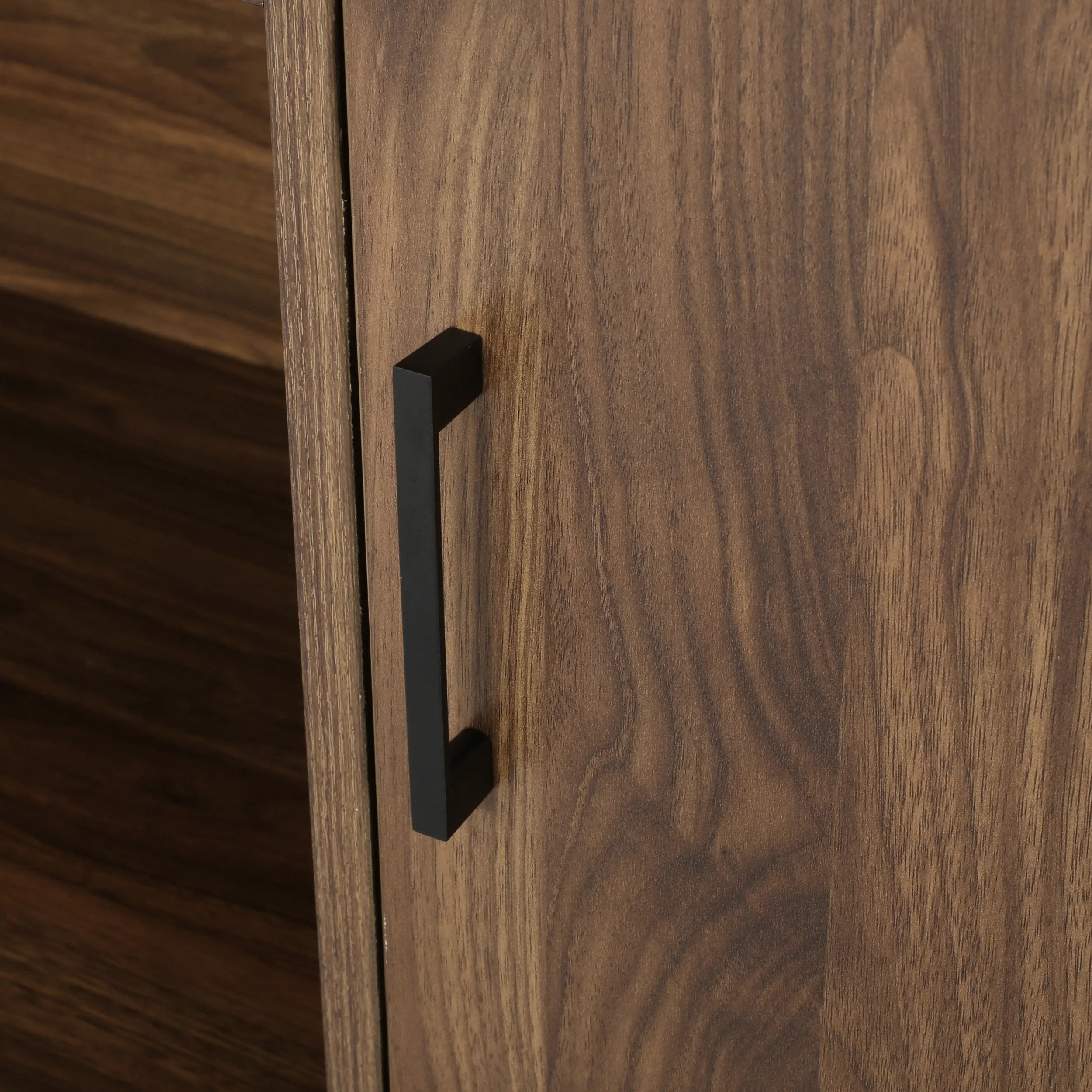 Joaquin Bookcase With Storage Cabinet
