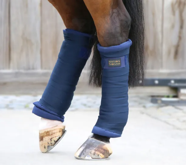 KENTUCKY REPELLENT BANDAGES