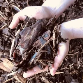 Loose Decorative Bark Chippings