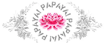 PAPAYA! Art Beauty Bouquet Accessory Pouch Clutch Makeup Bag (10" x 5")