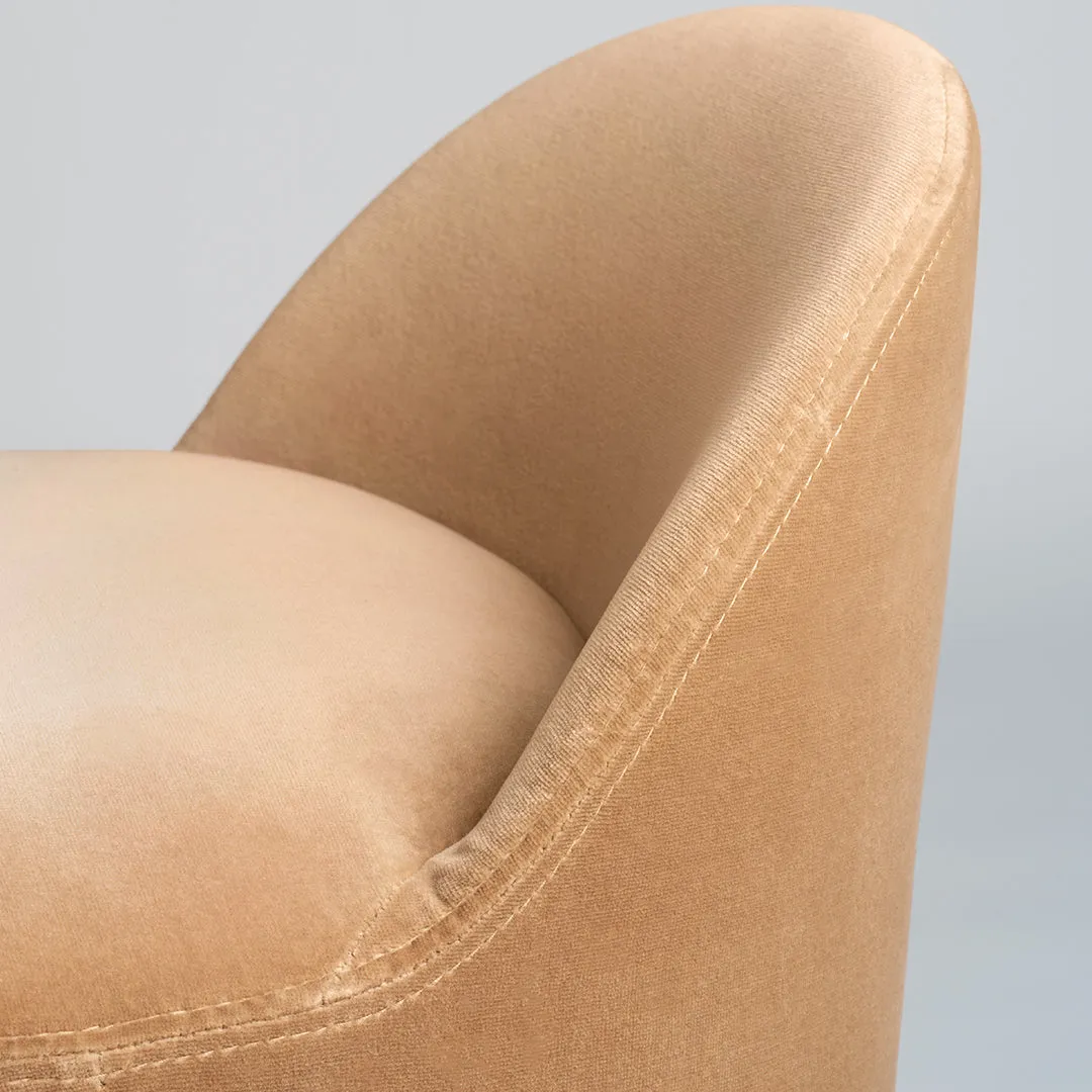 Tail Dining Chair - Low Back